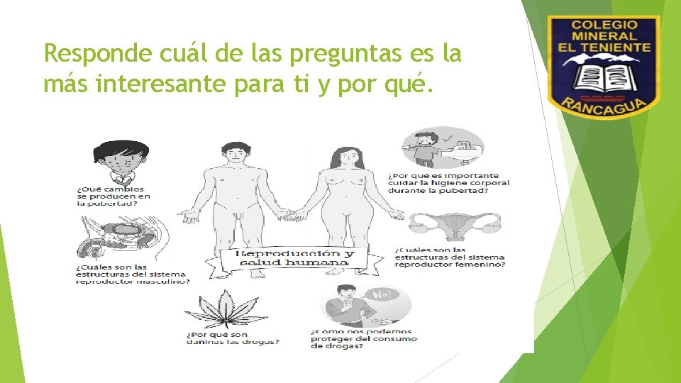 Responde cuál de las preguntas es la más interesante para ti y por qué.