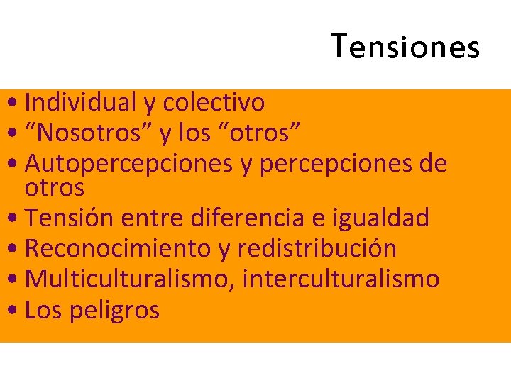 Tensiones • Individual y colectivo • “Nosotros” y los “otros” • Autopercepciones y percepciones