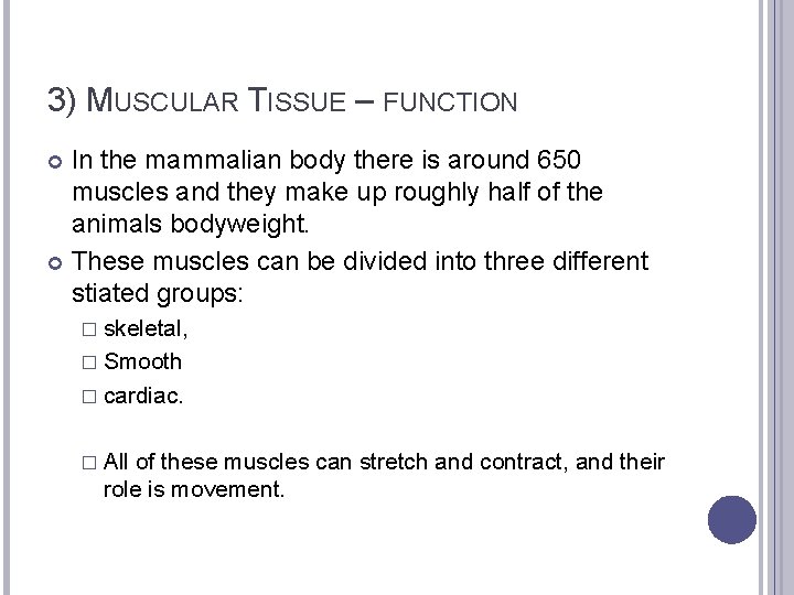 3) MUSCULAR TISSUE – FUNCTION In the mammalian body there is around 650 muscles