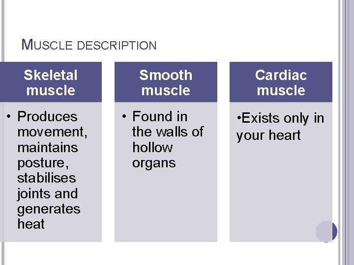 MUSCLE DESCRIPTION Skeletal muscle Smooth muscle Cardiac muscle • Produces movement, maintains posture, stabilises