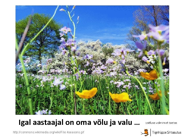 Igal aastaajal on oma võlu ja valu … http: //commons. wikimedia. org/wiki/File: 4 seasons.