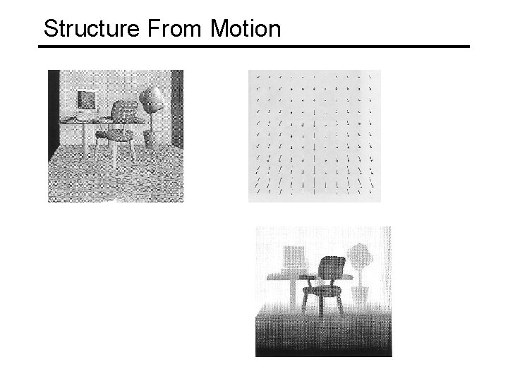 Structure From Motion 