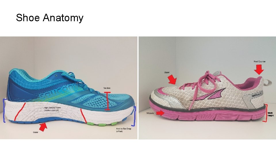 Shoe Anatomy 