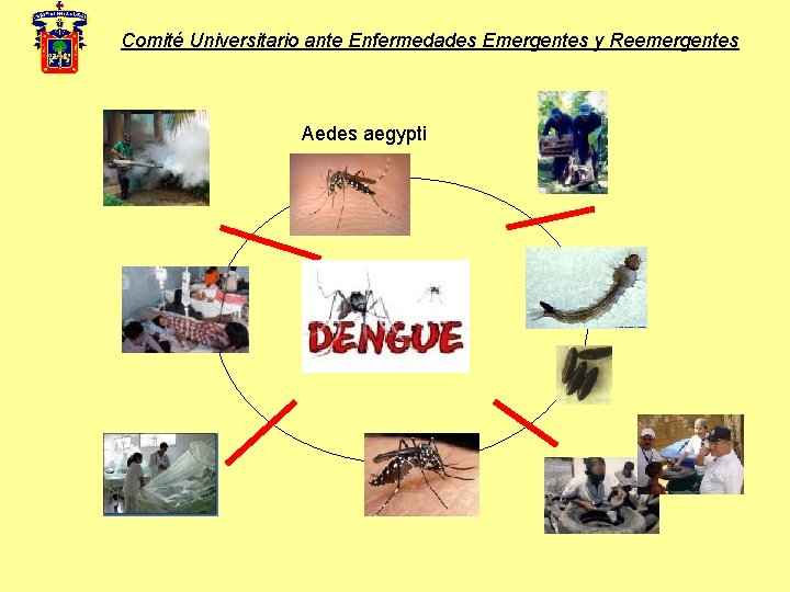 Comité Universitario ante Enfermedades Emergentes y Reemergentes Aedes aegypti 