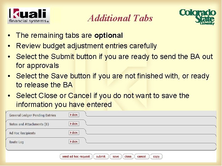 Additional Tabs • The remaining tabs are optional • Review budget adjustment entries carefully