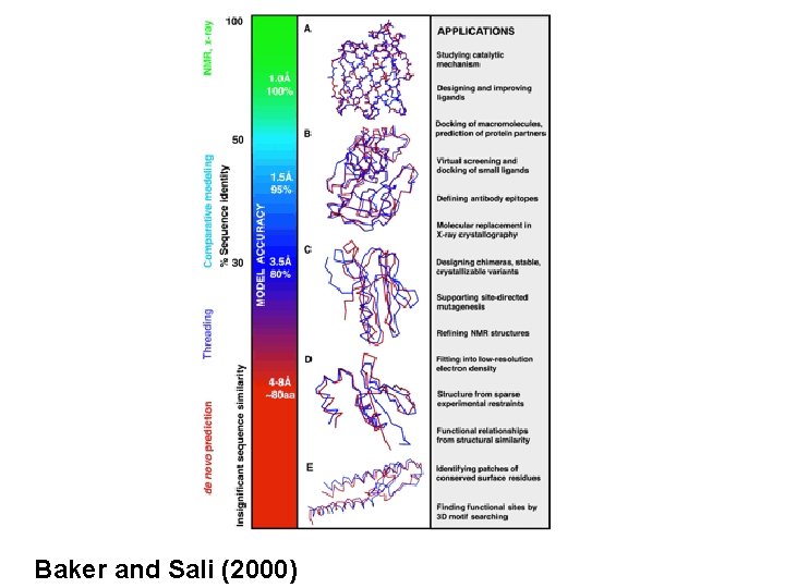 Baker and Sali (2000) 