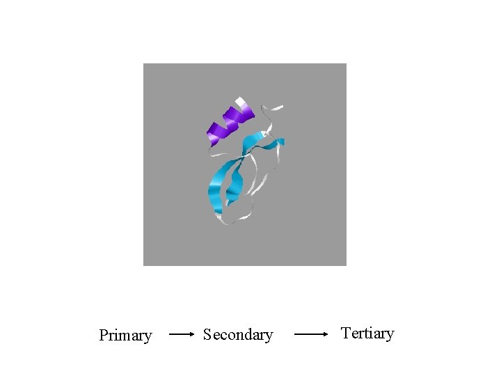 Primary Secondary Tertiary 