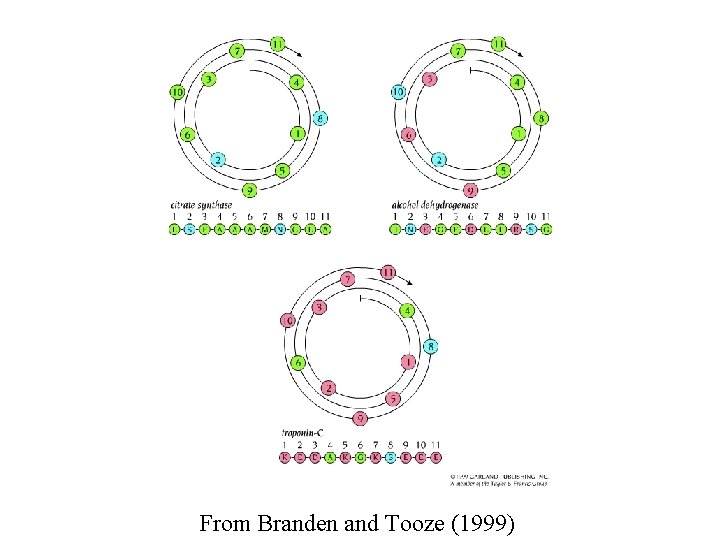 From Branden and Tooze (1999) 