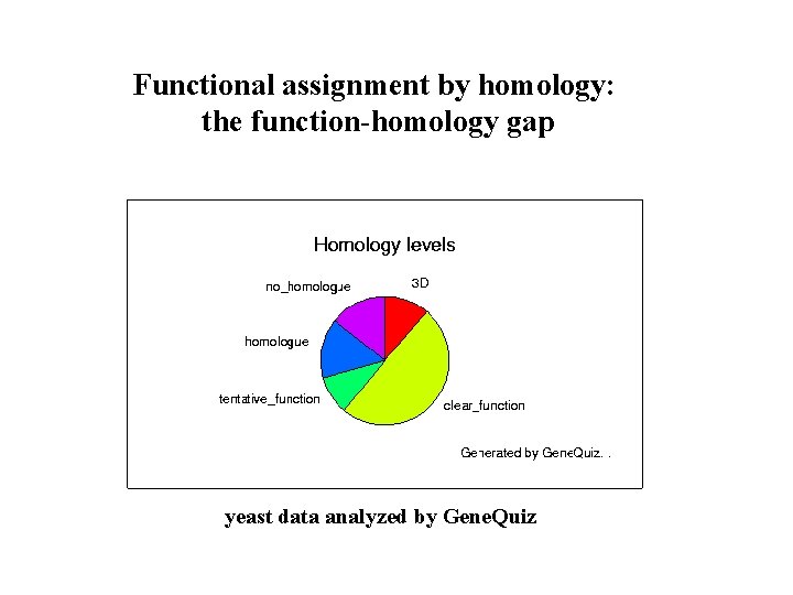 Functional assignment by homology: the function-homology gap yeast data analyzed by Gene. Quiz 