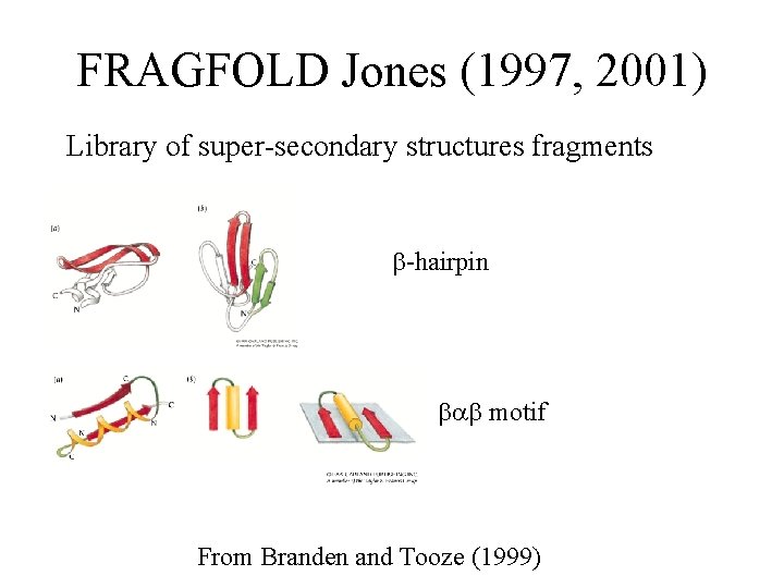 FRAGFOLD Jones (1997, 2001) Library of super-secondary structures fragments -hairpin motif From Branden and