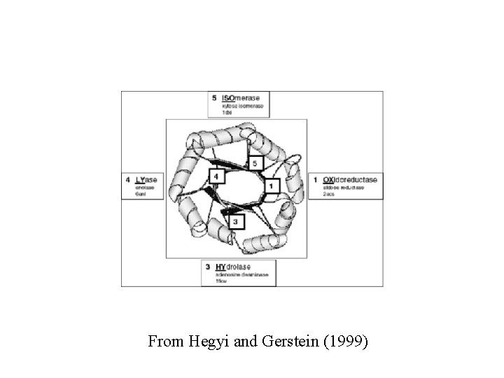 From Hegyi and Gerstein (1999) 