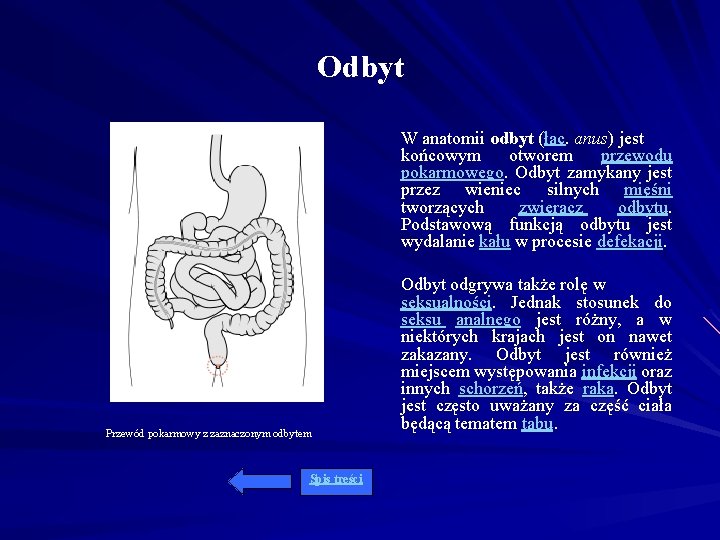 Odbyt W anatomii odbyt (łac. anus) jest końcowym otworem przewodu pokarmowego. Odbyt zamykany jest