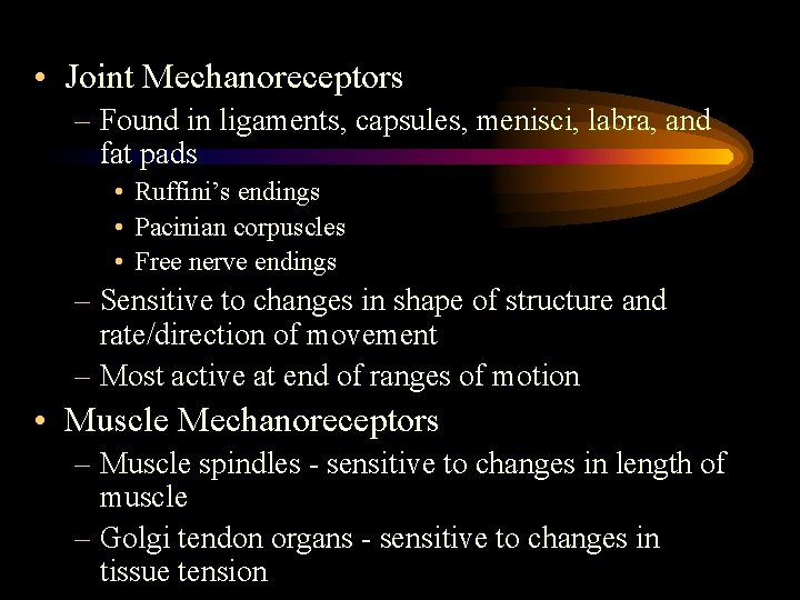  • Joint Mechanoreceptors – Found in ligaments, capsules, menisci, labra, and fat pads