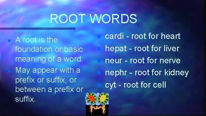 ROOT WORDS ● ● A root is the foundation or basic meaning of a