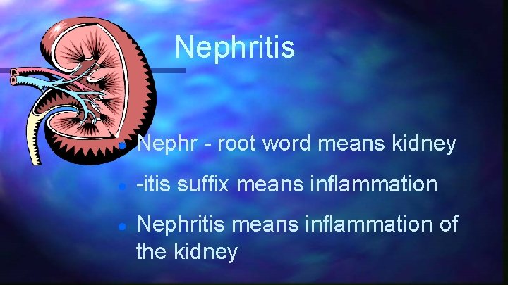 Nephritis ● Nephr - root word means kidney ● -itis suffix means inflammation ●