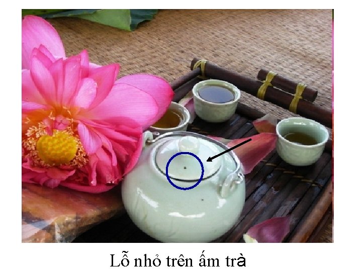 Lỗ nhỏ trên ấm trà 
