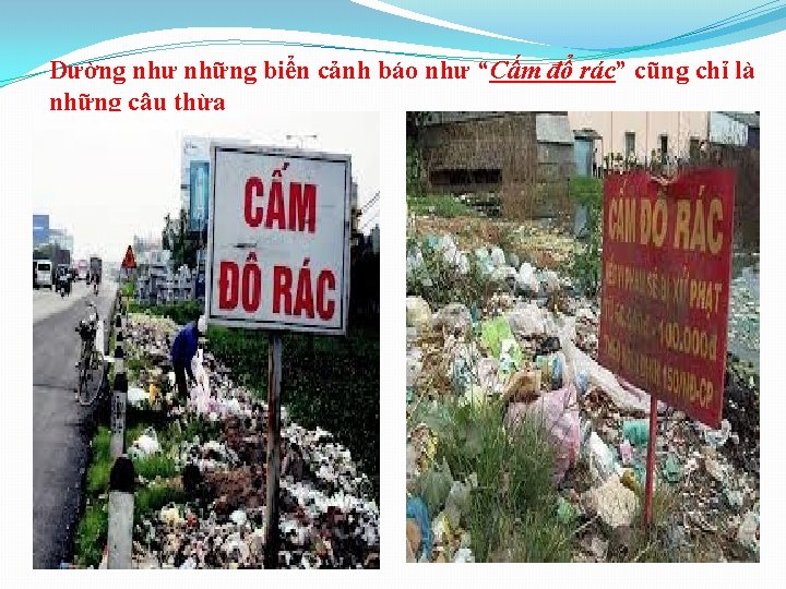 Dường như những biển cảnh báo như “Cấm đổ rác” cũng chỉ là những