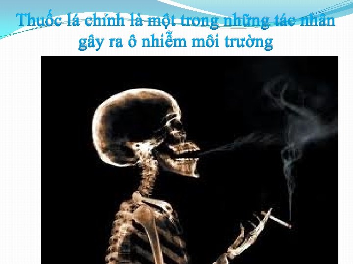 Thuốc lá chính là một trong những tác nhân gây ra ô nhiễm môi