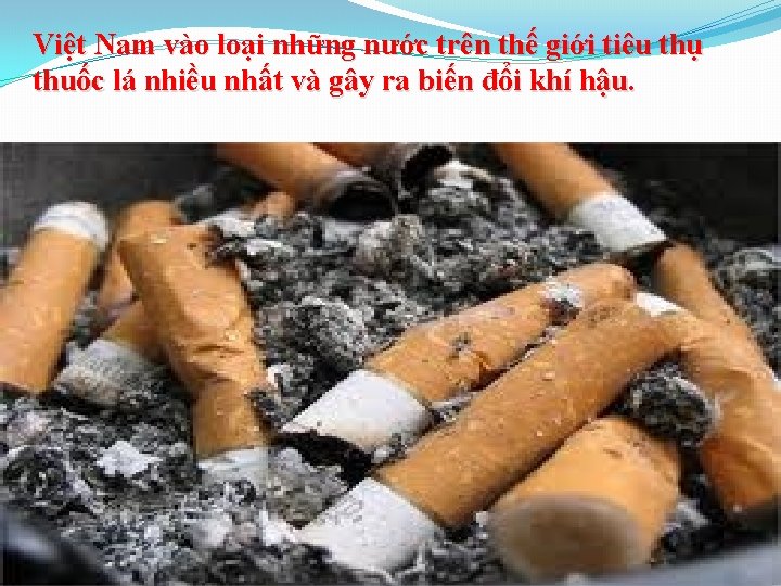 Việt Nam vào loại những nước trên thế giới tiêu thụ thuốc lá nhiều