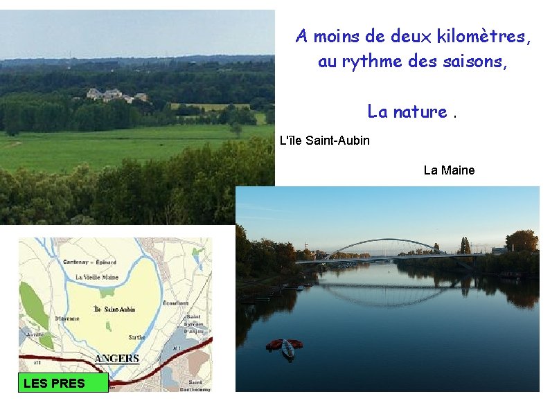 A moins de deux kilomètres, au rythme des saisons, La nature. L'île Saint-Aubin La