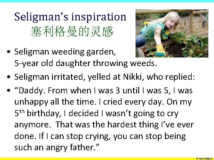 Seligman’s inspiration 塞利格曼的灵感 • Seligman weeding garden, 5 -year old daughter throwing weeds. •