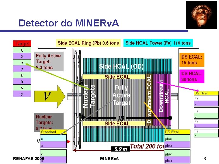 Detector do MINERn. A RENAFAE 2008 MINERn. A 6 