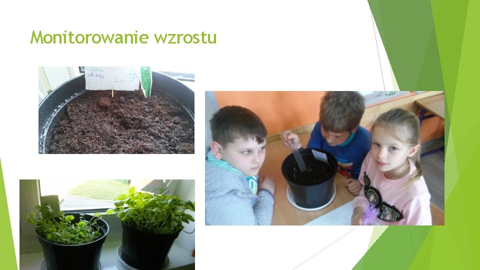 Monitorowanie wzrostu 