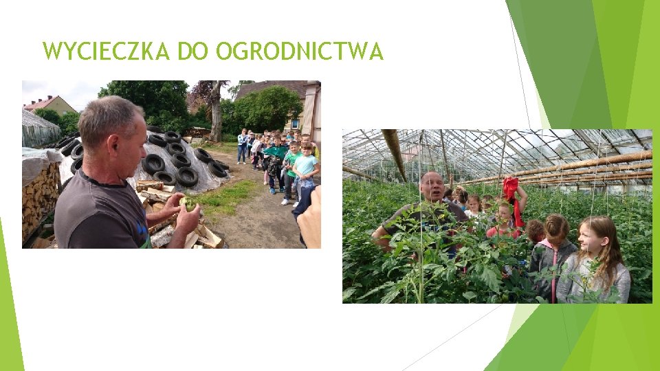 WYCIECZKA DO OGRODNICTWA 