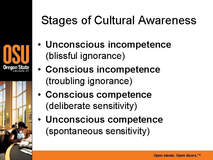 Stages of Cultural Awareness • Unconscious incompetence (blissful ignorance) • Conscious incompetence (troubling ignorance)