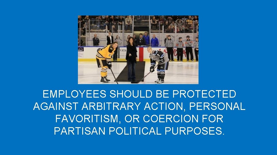 EMPLOYEES SHOULD BE PROTECTED AGAINST ARBITRARY ACTION, PERSONAL FAVORITISM, OR COERCION FOR PARTISAN POLITICAL