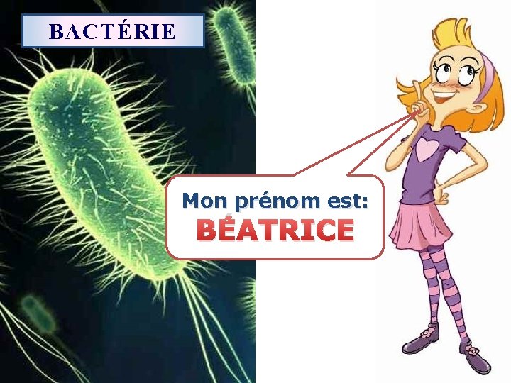 BACTÉRIE Mon prénom est: BÉATRICE 