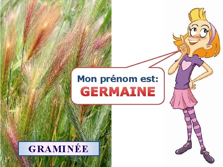 Mon prénom est: GERMAINE GRAMINÉE 