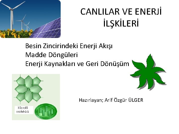 CANLILAR VE ENERJİ İLŞKİLERİ Besin Zincirindeki Enerji Akışı Madde Döngüleri Enerji Kaynakları ve Geri