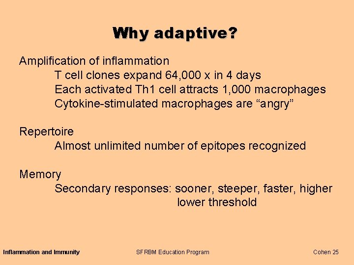 Why adaptive? Amplification of inflammation T cell clones expand 64, 000 x in 4