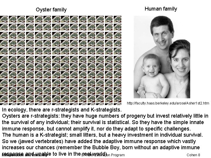 Oyster family Human family http: //faculty. haas. berkeley. edu/arose/Asher 1 st 2. htm In