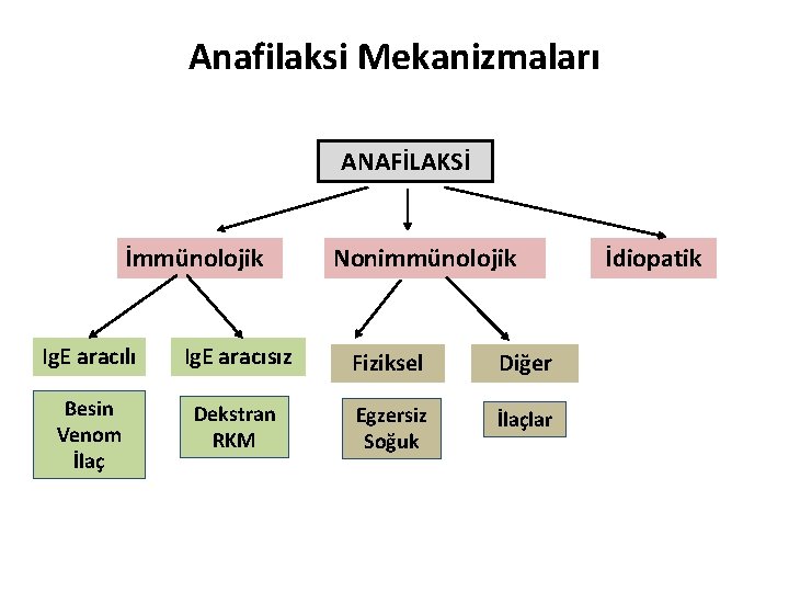 Anafilaksi Mekanizmaları ANAFİLAKSİ İmmünolojik Nonimmünolojik Ig. E aracılı Ig. E aracısız Fiziksel Diğer Besin