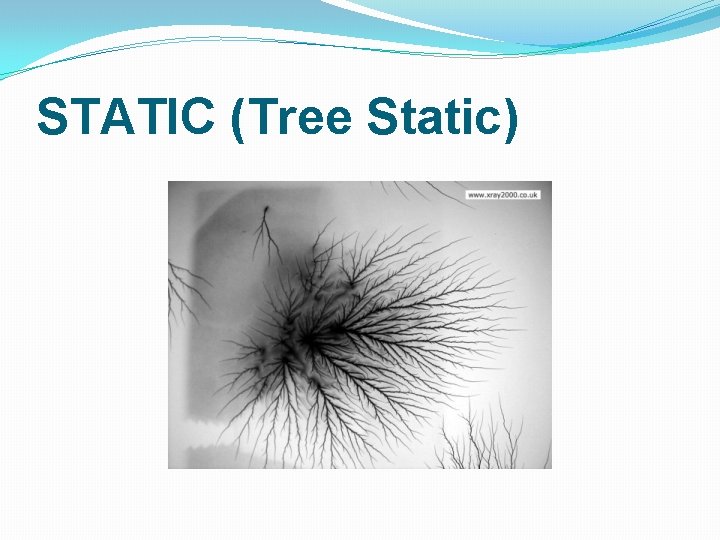 STATIC (Tree Static) 