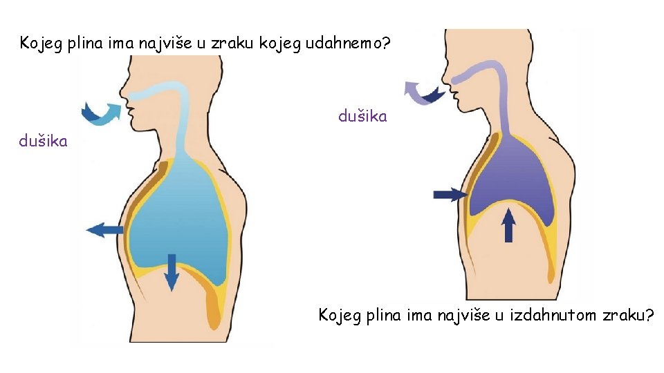 Kojeg plina ima najviše u zraku kojeg udahnemo? dušika Kojeg plina ima najviše u