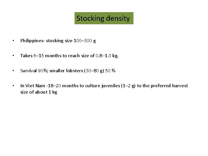 Stocking density • Philippines- stocking size 100– 300 g • Takes 6– 15 months