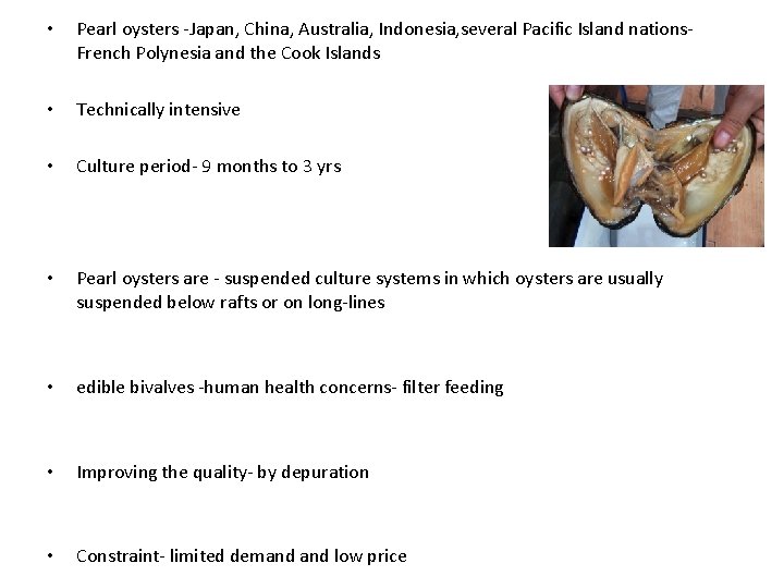  • Pearl oysters -Japan, China, Australia, Indonesia, several Pacific Island nations. French Polynesia