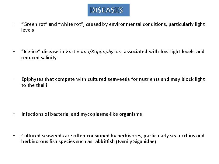 DISEASES • “Green rot” and “white rot”, caused by environmental conditions, particularly light levels