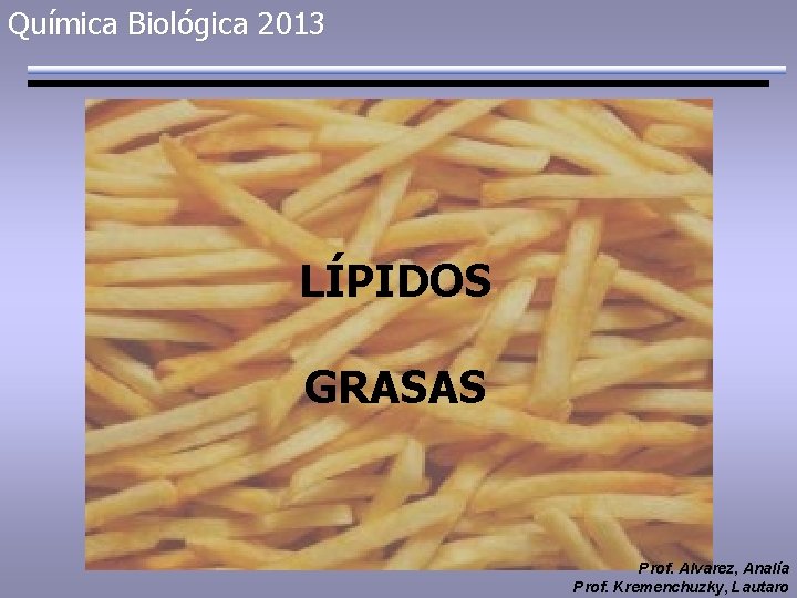 Química Biológica 2013 LÍPIDOS GRASAS Prof. Alvarez, Analía Prof. Kremenchuzky, Lautaro 