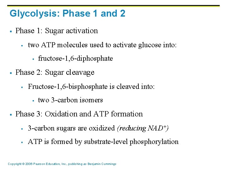 Glycolysis: Phase 1 and 2 § Phase 1: Sugar activation § two ATP molecules