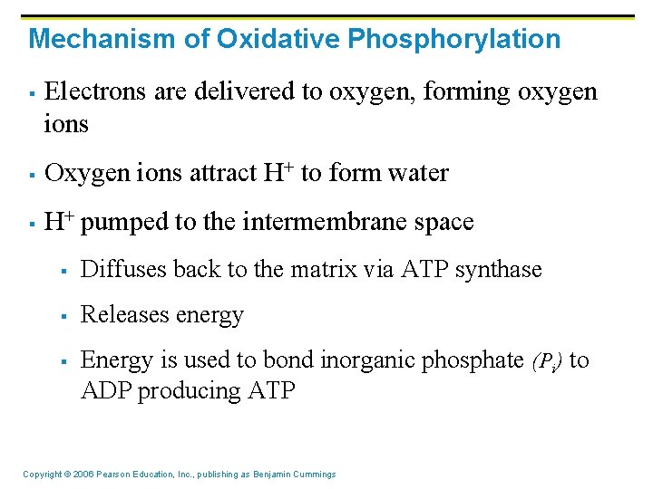 Mechanism of Oxidative Phosphorylation § Electrons are delivered to oxygen, forming oxygen ions §