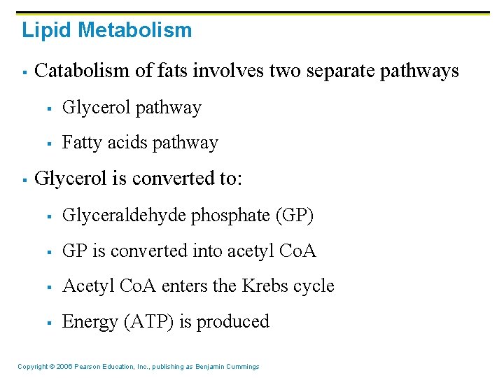 Lipid Metabolism § § Catabolism of fats involves two separate pathways § Glycerol pathway