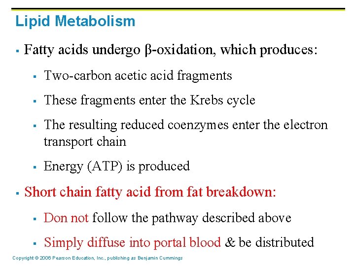 Lipid Metabolism § Fatty acids undergo β-oxidation, which produces: § Two-carbon acetic acid fragments