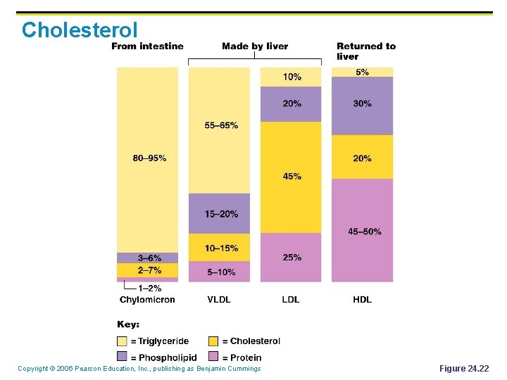 Cholesterol Copyright © 2006 Pearson Education, Inc. , publishing as Benjamin Cummings Figure 24.