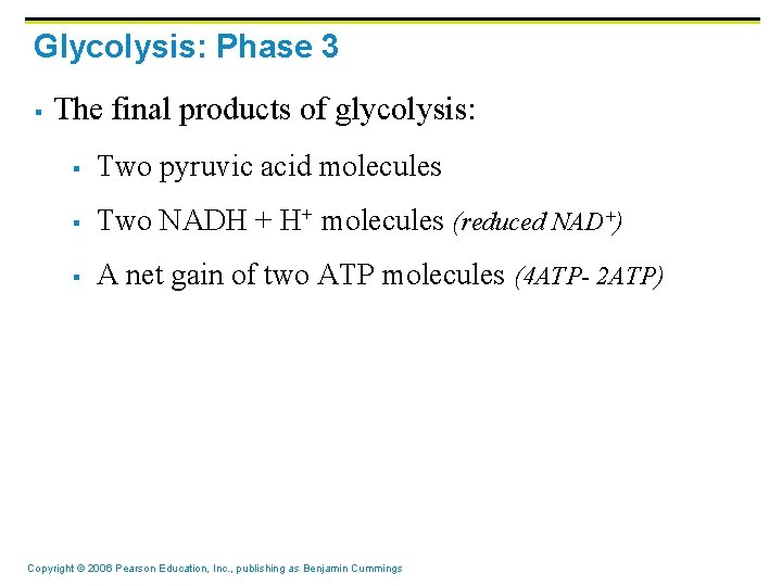 Glycolysis: Phase 3 § The final products of glycolysis: § Two pyruvic acid molecules