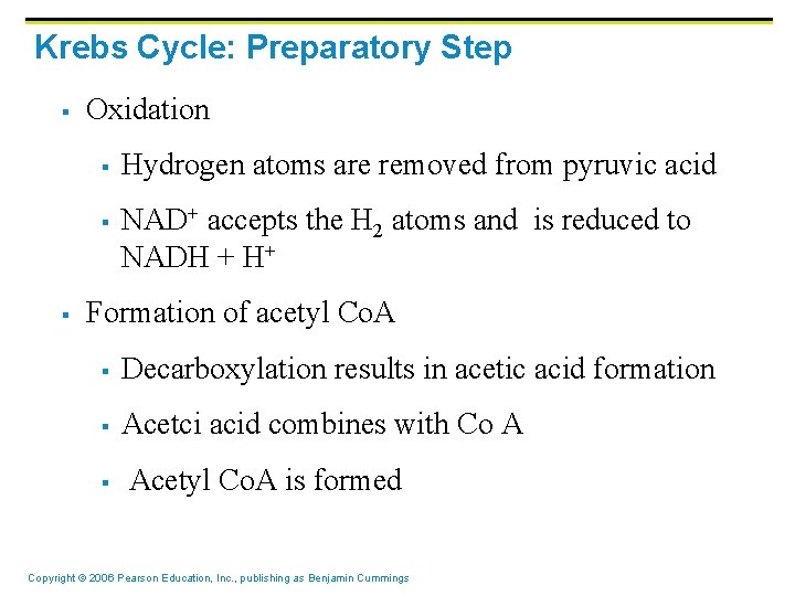 Krebs Cycle: Preparatory Step § Oxidation § § § Hydrogen atoms are removed from