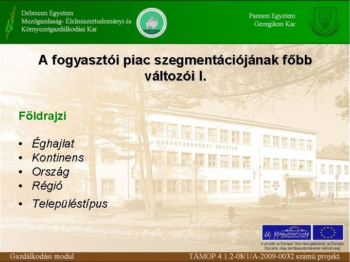 A fogyasztói piac szegmentációjának főbb változói I. Földrajzi • • Éghajlat Kontinens Ország Régió